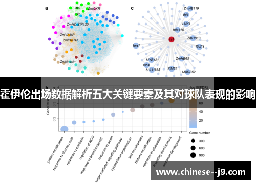 霍伊伦出场数据解析五大关键要素及其对球队表现的影响