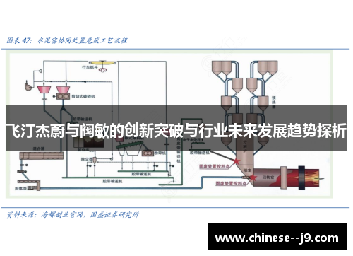 飞汀杰蔚与阀敏的创新突破与行业未来发展趋势探析