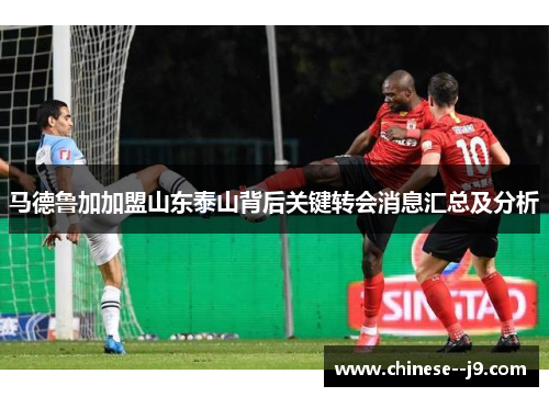 马德鲁加加盟山东泰山背后关键转会消息汇总及分析