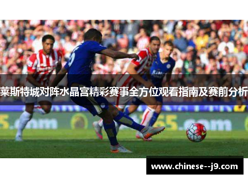 莱斯特城对阵水晶宫精彩赛事全方位观看指南及赛前分析 莱斯特城对阵水晶宫精彩赛事全方位观看指南及赛前分析