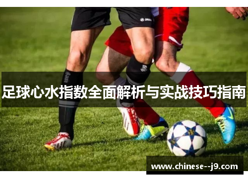 足球心水指数全面解析与实战技巧指南