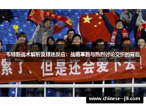 韦特新战术解析及球迷反应：战略革新与热烈讨论交织的背后